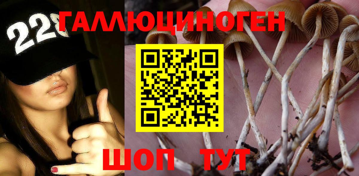Псилоцибиновые грибы Psilocybe Магнитогорск