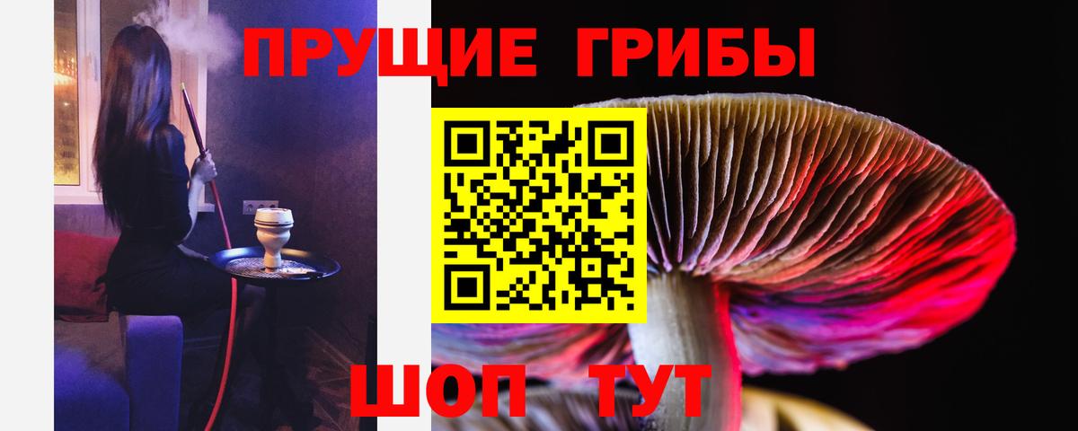 Галлюциногенные грибы Magic Shrooms  Вход с VPN  Магнитогорск  Галлюциногенные грибы Psilocybe 